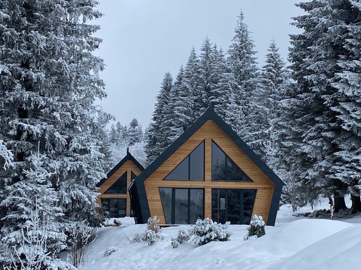 Chalet Belveder Horska Chata Железна-Руда Экстерьер фото